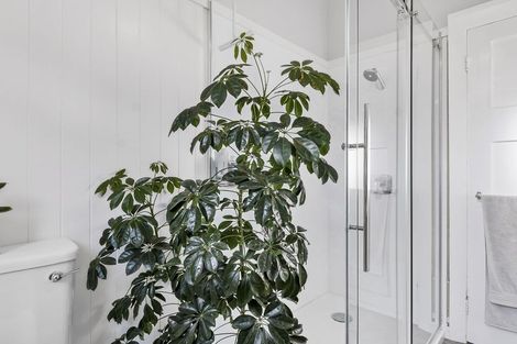 Photo of property in 262 Macandrew Road, Forbury, Dunedin, 9012