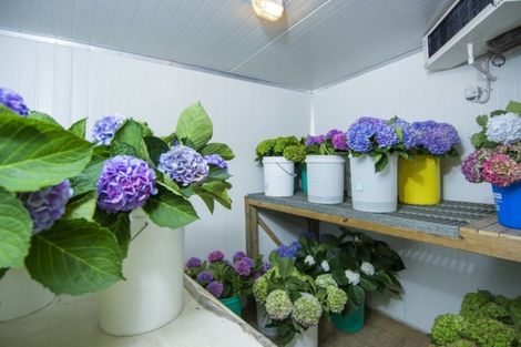 Photo of property in 261 Pahoia Road, Whakamarama, Tauranga, 3172