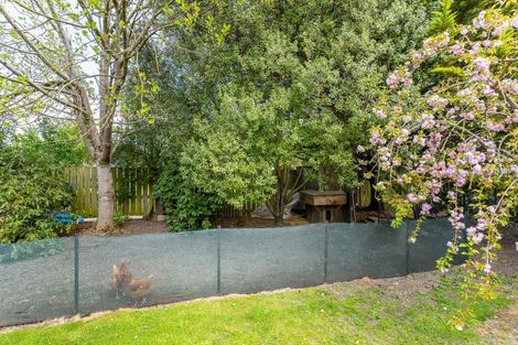 Photo of property in 26 Johnson Street, Milton, 9220