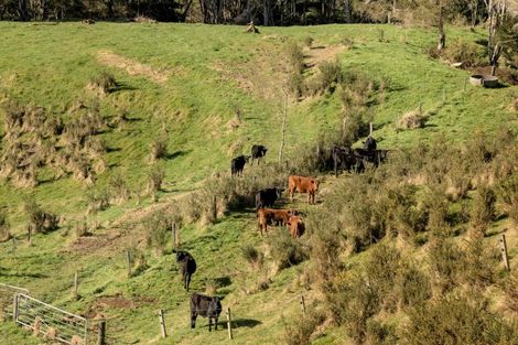 Photo of property in 795 Maungarangi Road, Paengaroa, 3189