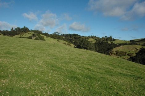 Photo of property in 540 Krippner Road, Puhoi, Warkworth, 0994