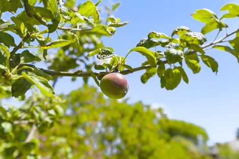 Photo of property in 2 Cypress Grove, Paraparaumu, 5032