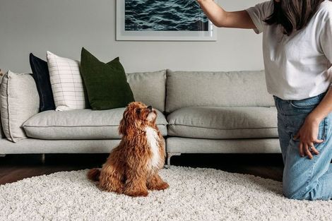 Photo of property in Ex Eagle Technology House, 135 Victoria Street, Te Aro, Wellington, 6011