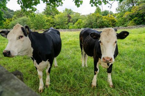 Photo of property in 524 Ngunguru Road, Glenbervie, Whangarei, 0173