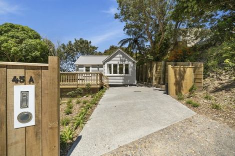 Photo of property in 45a Mana Street, Vogeltown, Wellington, 6021