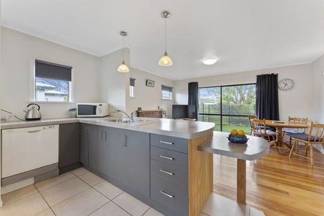 Photo of property in 31 Windsor Street, Terrace End, Palmerston North, 4410