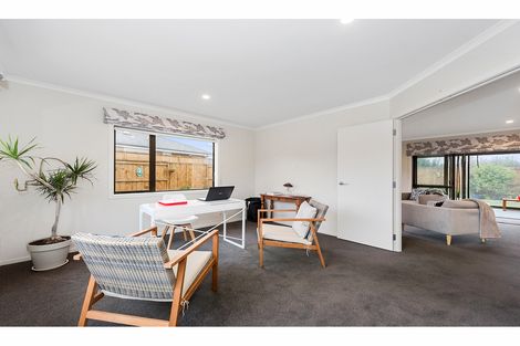 Photo of property in 4 Patatee Terrace, Baverstock, Hamilton, 3200