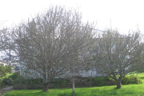 Photo of property in 47 Grey Street, Dargaville, 0310