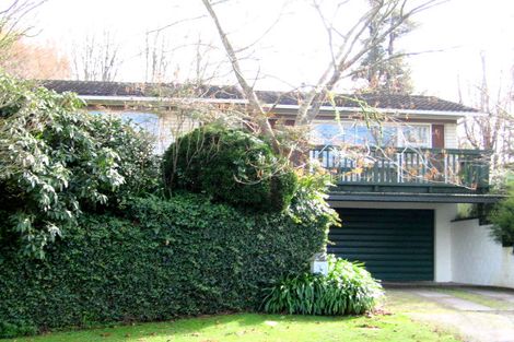 Photo of property in 3 Lorraine Place, Glenview, Hamilton, 3206