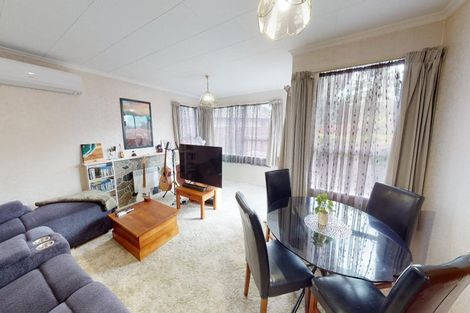 Photo of property in 84a Fitzroy Street, Terrace End, Palmerston North, 4410