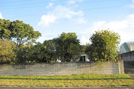 Photo of property in 103 Patuwai Drive, Whangamata, 3620