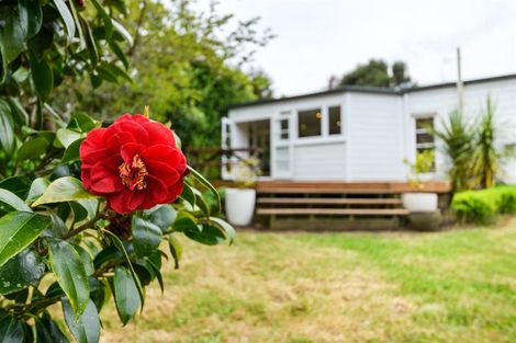 Photo of property in 93 Trickers Road, Bulls, 4818