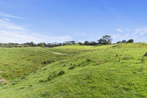 Photo of property in 132b Gatfield Road, Kaukapakapa, 0873