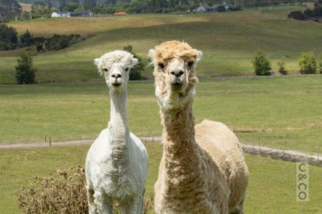 Photo of property in 279 Fordyce Road, Helensville, 0874