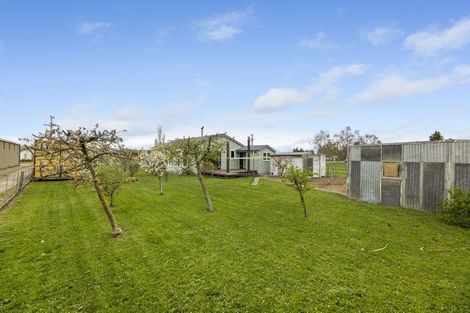 Photo of property in 31 Swansea Street, Middlemarch, 9597