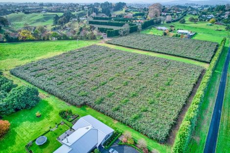 Photo of property in 36 Echo Valley Way, Tauriko, Tauranga, 3110