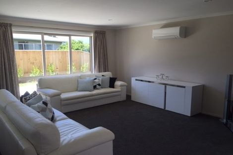 Photo of property in 7 Wilde Avenue, Richmond, 7020