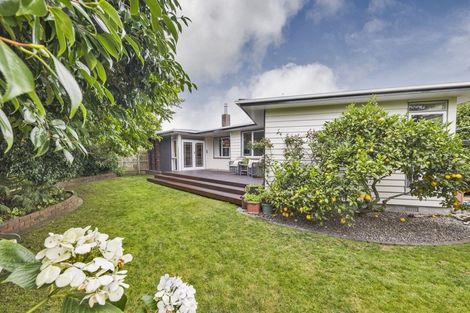 Photo of property in 10 Edwards Place, Terrace End, Palmerston North, 4410