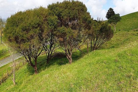 Photo of property in 79 Gorge Road, Maungaturoto, 0520