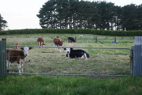 Photo of property in 173 Fairfield Road, Hawera, 4672