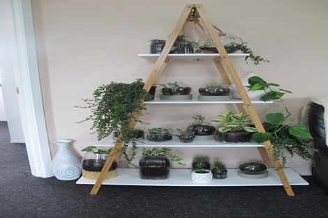 Photo of property in 14 Bryce Street, Kihikihi, Te Awamutu, 3800