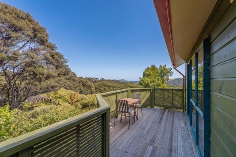 Photo of property in 860 Buffalo Road, Coromandel, 3506