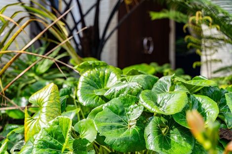 Photo of property in 1650 Ngunguru Road, Ngunguru, Whangarei, 0173