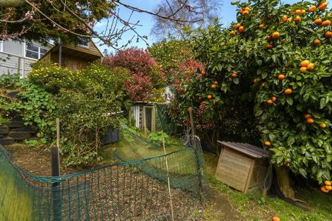 Photo of property in 15 Ward Street, Gate Pa, Tauranga, 3112
