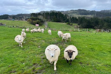 Photo of property in 24b Bethells Road, Waitakere, Auckland, 0816