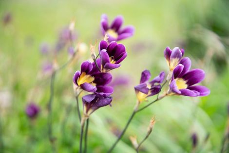 Photo of property in 38 Sidlaw Street, Strathmore Park, Wellington, 6022