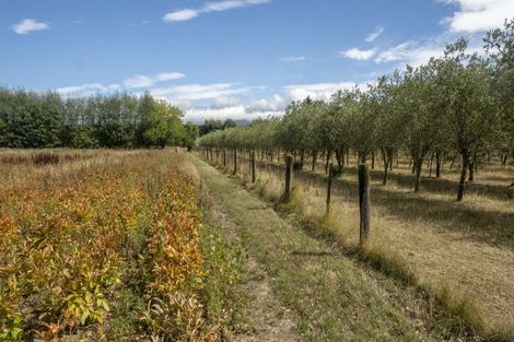 Photo of property in 83 Boundary Road, Upper Plain, Masterton, 5888