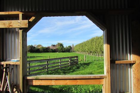 Photo of property in 221 Upper Manaia Road, Upper Plain, Masterton, 5888