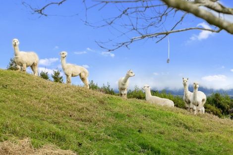 Photo of property in 230f Waipapa Block Road, Whakamarama, Tauranga, 3180