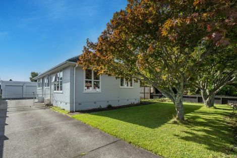 Photo of property in 38 Douglas Crescent, Fairfield, Hamilton, 3214