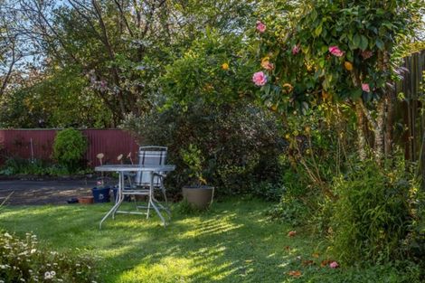 Photo of property in 4a Chamberlain Road, Masterton, 5810