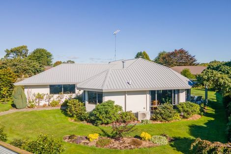 Photo of property in 77 Murray Street, Temuka, 7920