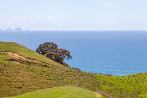 Photo of property in 162d Whitipirorua Road, Onemana, Whangamata, 3691