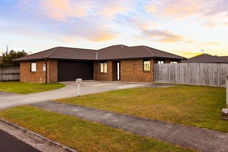 Photo of property in 29 Pharo Place, Ngaruawahia, 3720