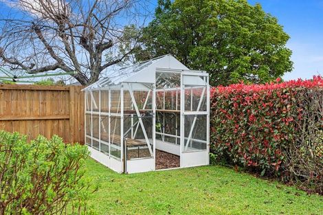 Photo of property in 19 Castlewold Drive, Bethlehem, Tauranga, 3110