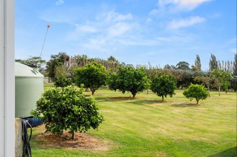 Photo of property in 99 Hansen Road, Makauri, Gisborne, 4071