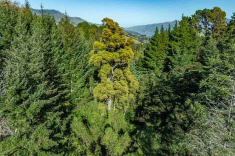 Photo of property in 129 Bells Road, Takamatua, Akaroa, 7581