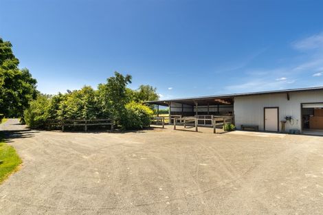 Photo of property in 239 Bartlett Road, Hope, Richmond, 7081