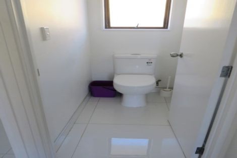 Photo of property in 3 Sagar Lane, Wiri, Auckland, 2104