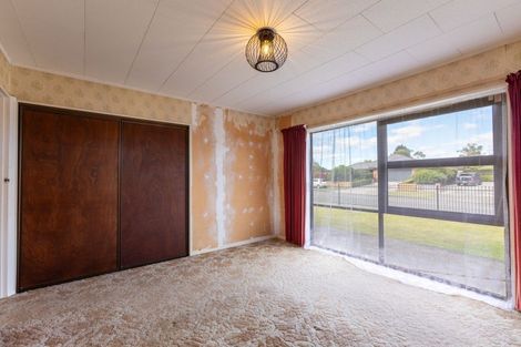 Photo of property in 119 Guy Street, Dannevirke, 4930