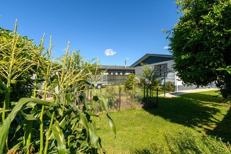 Photo of property in 2 College Place, Poike, Tauranga, 3112