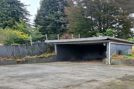 Photo of property in 16 Dunbar Place, Tokoroa, 3420