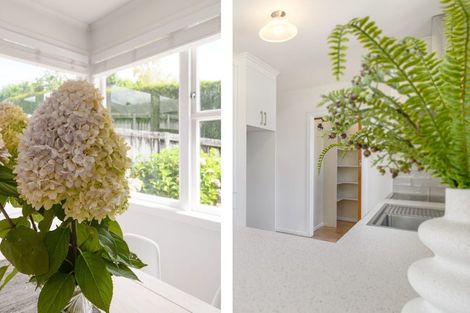 Photo of property in 30 Hollister Lane, Ohauiti, Tauranga, 3112