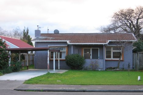 Photo of property in 58 Matipo Street, Takaro, Palmerston North, 4410