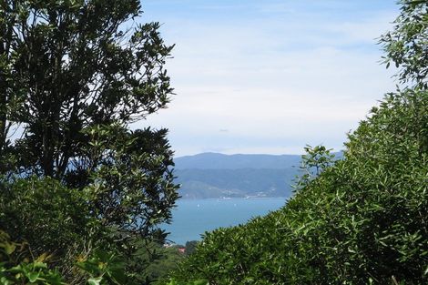 Photo of property in 53 Ngaio Gorge Road, Ngaio, Wellington, 6035