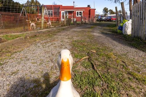 Photo of property in 4 March Street, Spring Creek, 7202